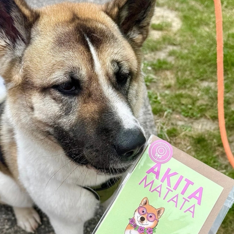 Carte Akita « Akita Matata »