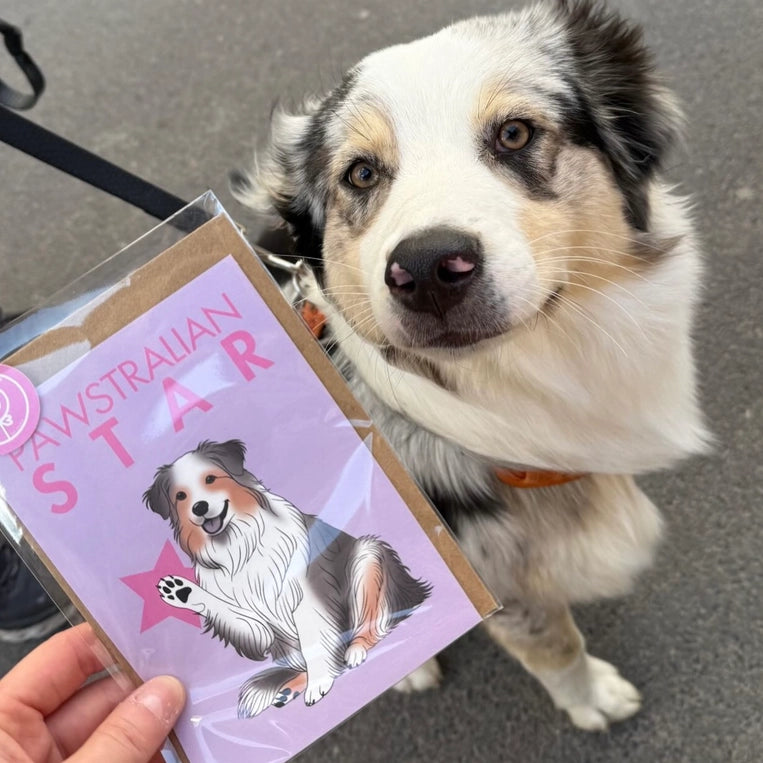 Carte Berger Australien « Pawstralian Star »