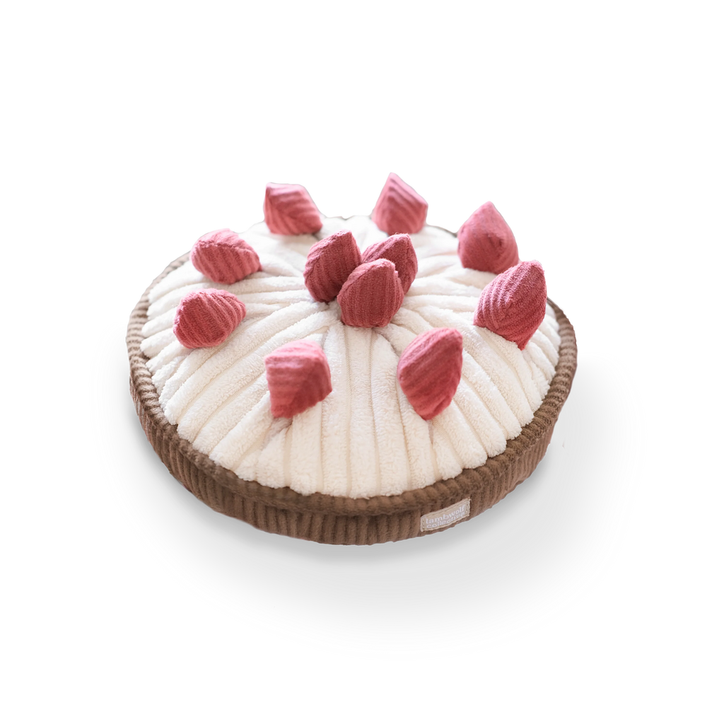 Jouet de fouille - Tarte aux fraises