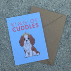 Carte Cavalier King Charles « King of Cuddles »