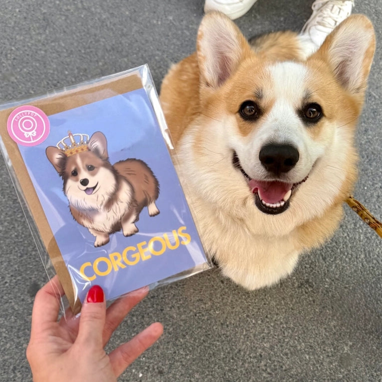 Carte Corgi « Corgeous »