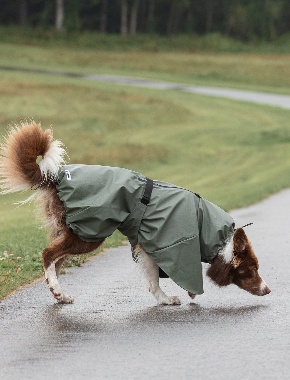 Manteau imperméable vert