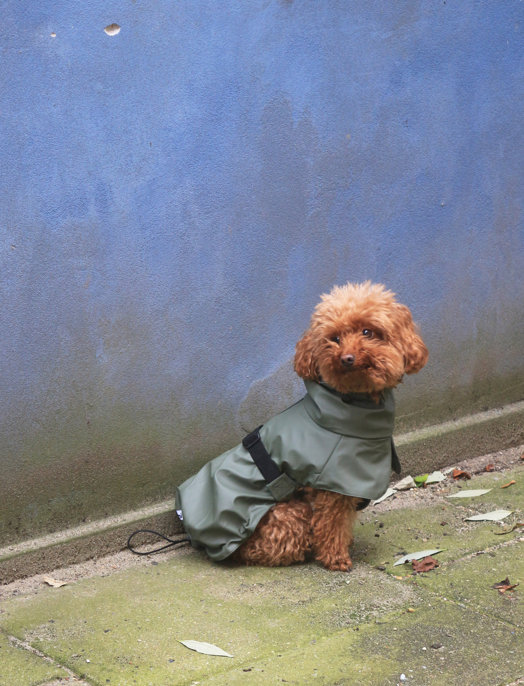 Manteau imperméable vert