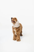 Snood d'été à carreaux