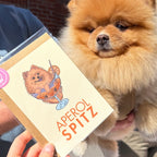 Carte Spitz « Aperol Spitz »