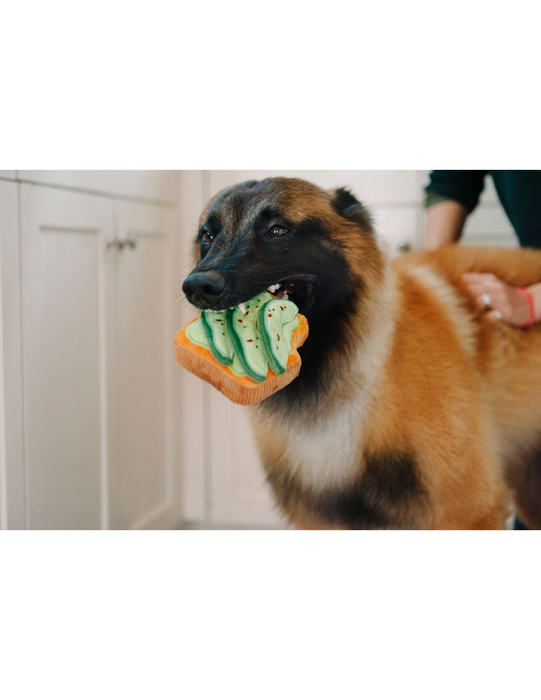 Peluche - Avocado Toast
