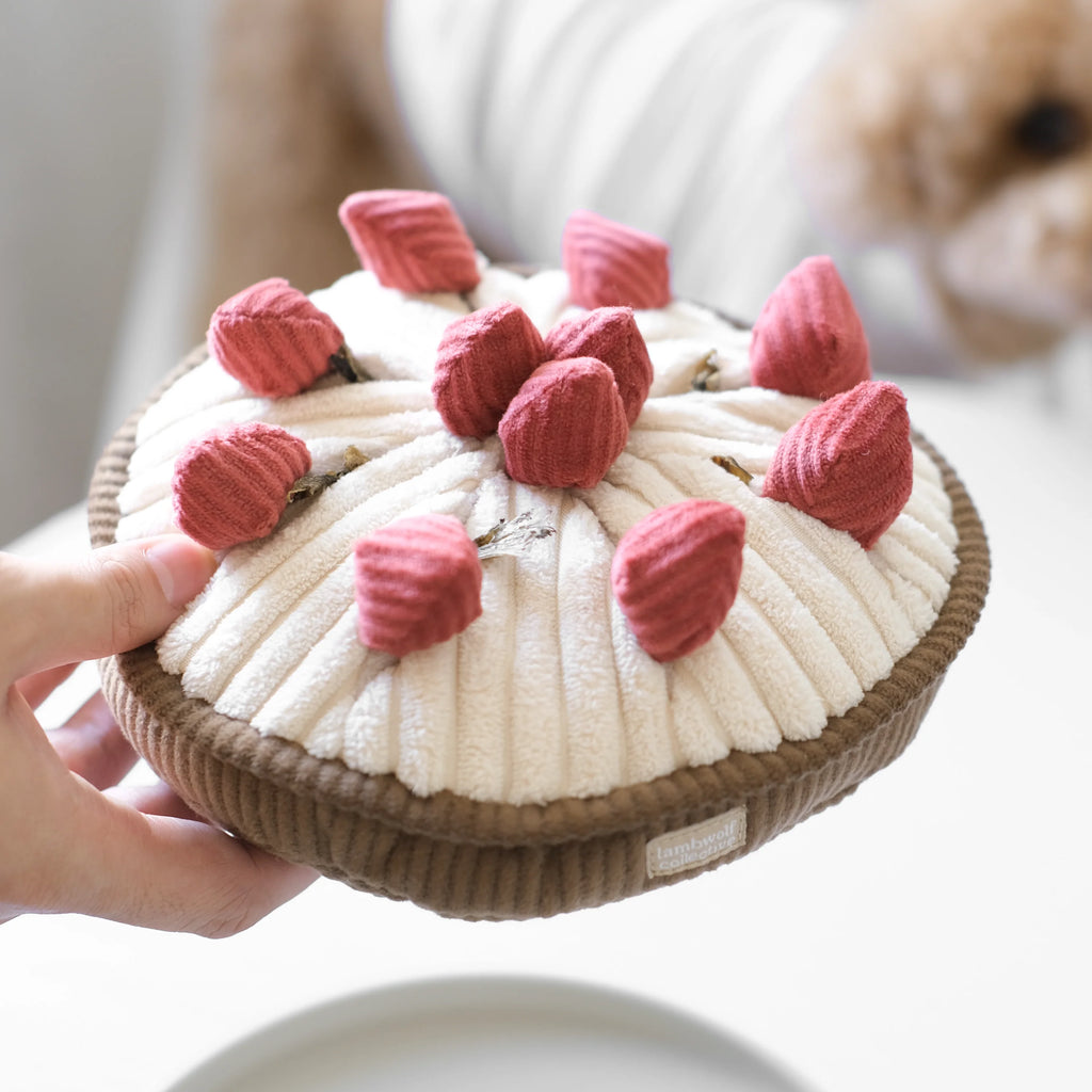 Jouet de fouille - Tarte aux fraises