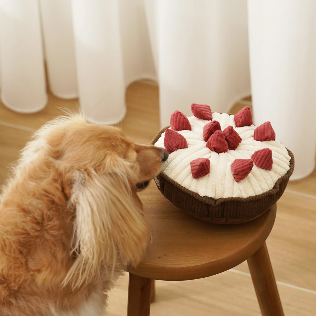 Jouet de fouille - Tarte aux fraises