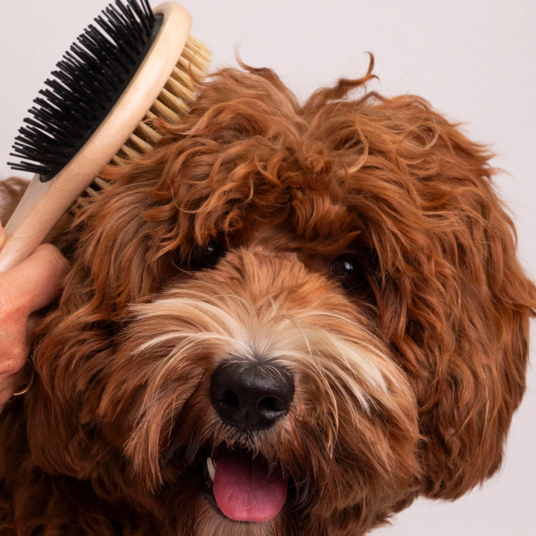 Brosse double face