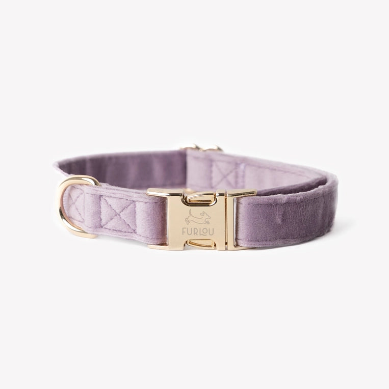 Collier Velvet - Lila