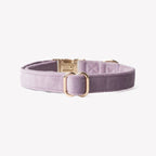 Collier Velvet - Lila