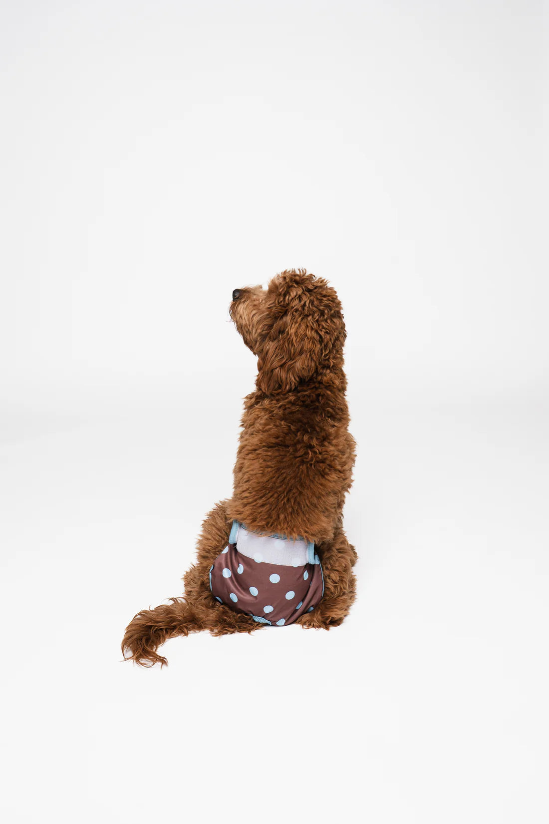 Culotte menstruelle à pois