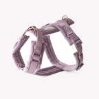Harnais Velvet - Lila