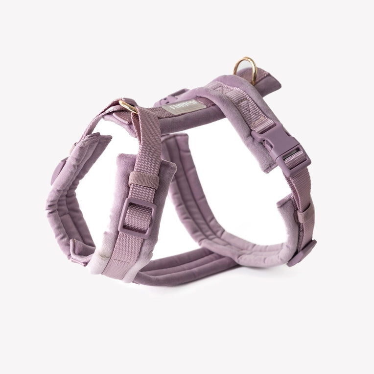 Harnais Velvet - Lila