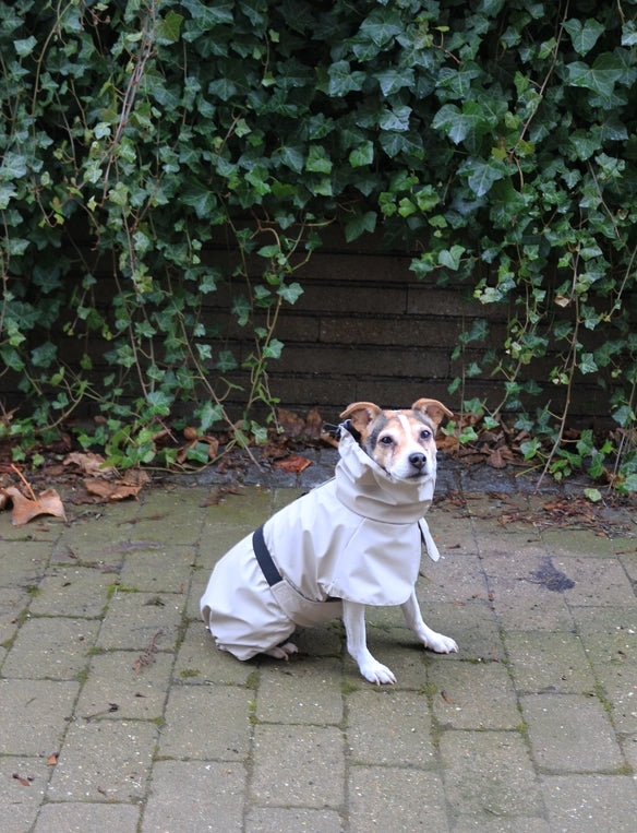 Manteau imperméable beige