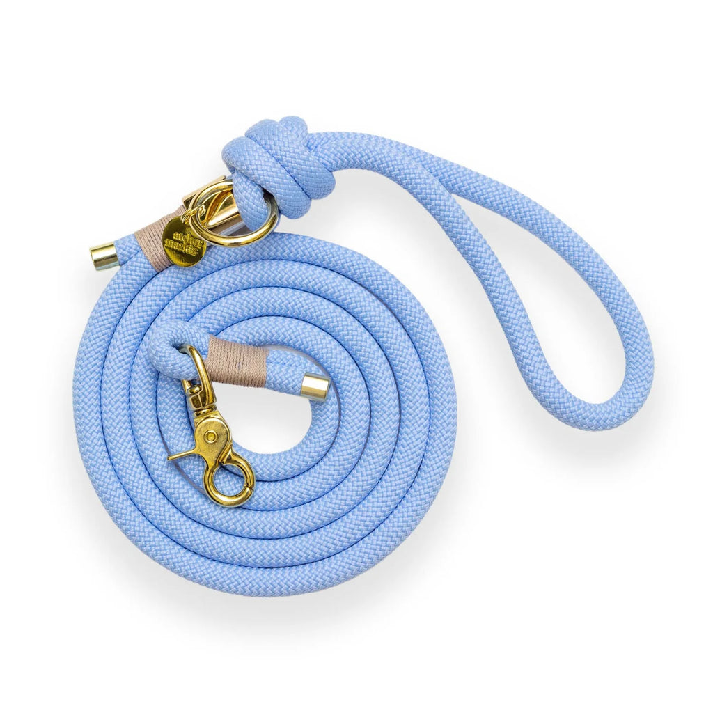 Laisse mains-libres en corde Bleu Polaire