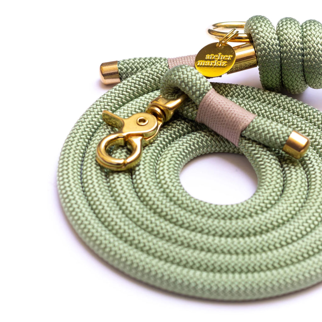 Laisse mains-libres en corde Matcha