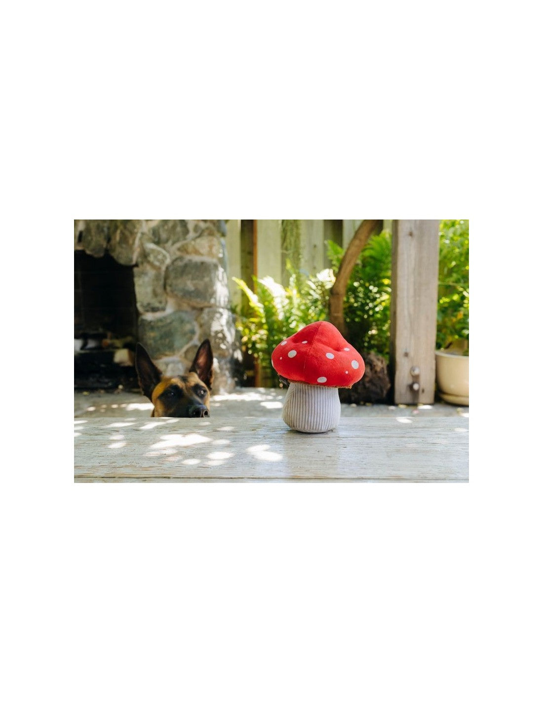 Peluche - Champignon