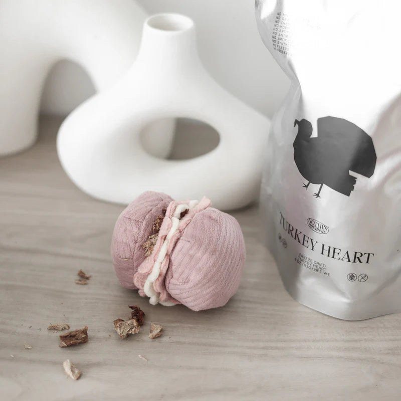Jouet de fouille - Macaron & Madeleine