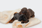 Serviette en microfibre