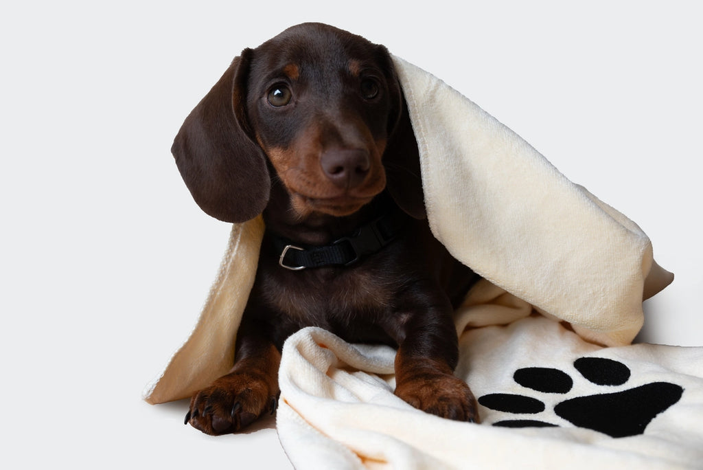 Serviette en microfibre