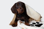 Serviette en microfibre