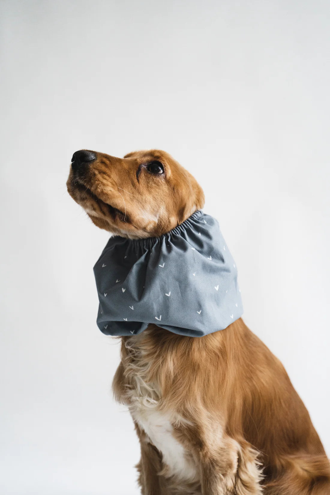 Snood bleu à cœurs