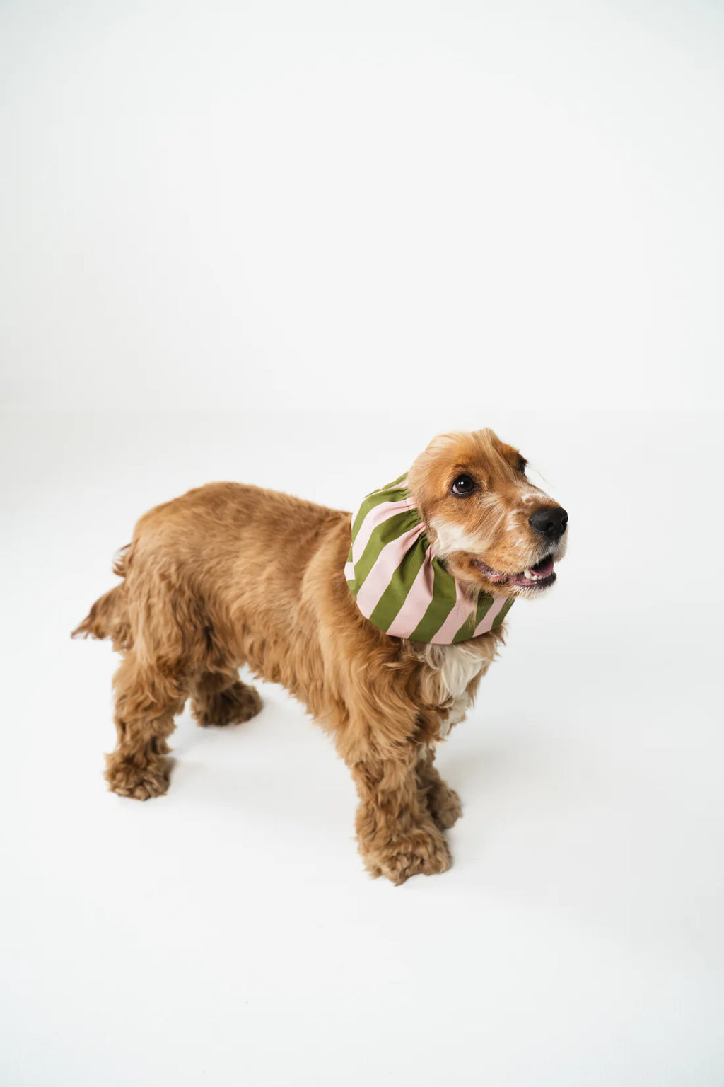 Snood rayé vert et rose